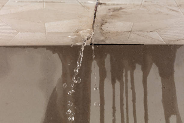 Professional Structural Drying technician working in Hoytville, OH